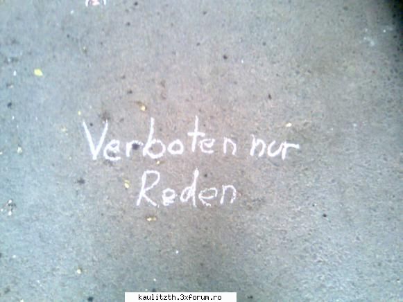vreboten nur reden cel mai nebunesc lucru pe care lai facut!dar care lai face?