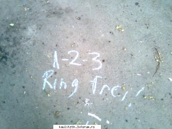 1-2-3
ring frei

(lf - ring frei...o asculta sor` :zzz: ) cel mai nebunesc lucru pe care lai
