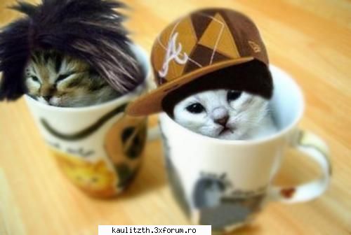 poze trucate cea mai poza ๋�ADMIN๋�
