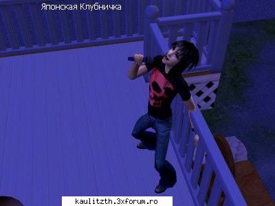 bill/sims2 asta