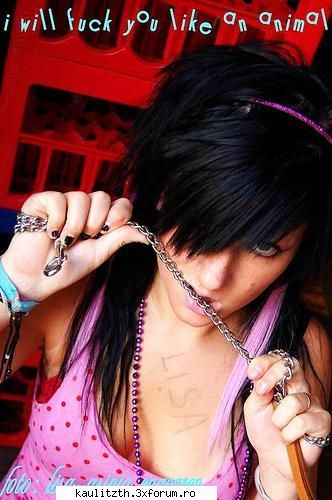 HOT or NOT - ce privire are Tom Hoooot - → Locul tău