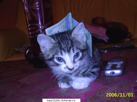Kiss or spank?? - ha ha.....un spank cat se poate de mare :x matza - → Locul tău
