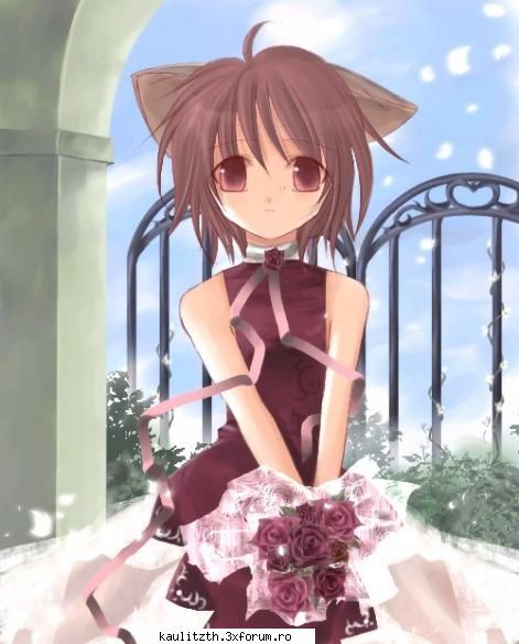 Pictures - ADMIN - → Manga/Anime