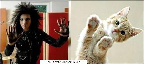 Poze trucate - ce sweet!!!!!!! - → Poze
