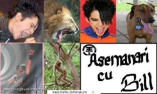 funny tokio hotel
