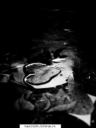 nota pt poza - cool_dark - → Locul tău