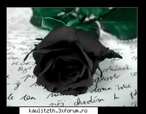nota pt poza - cool_dark - → Locul tău