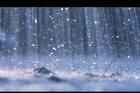 nota pt poza - cool_dark - → Locul tău